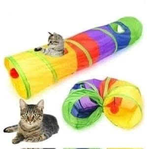 Paws & Beyond | Dhaka