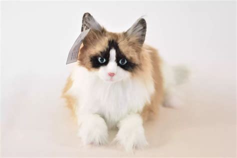 Best Ragdoll Cat Plush Toys For All Budgets