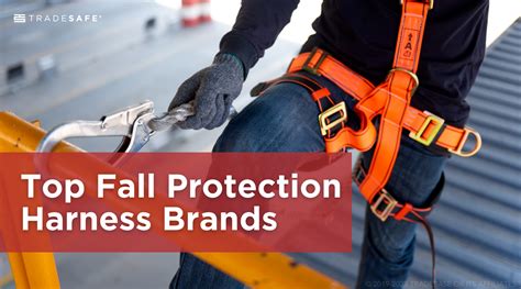 The Best Fall Protection Harness For Every Type Of Workplace Tradesafe