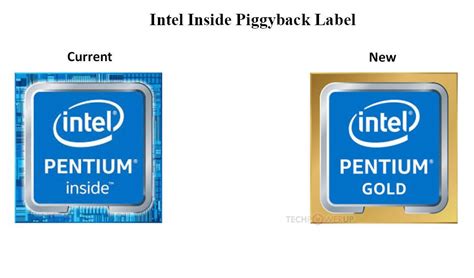 Intel pentium gold processor - loxahao