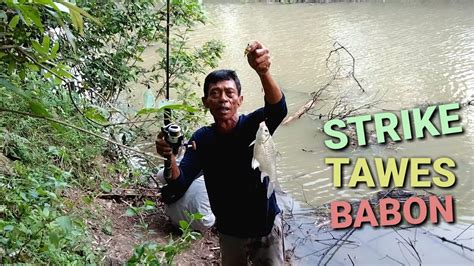 Mancing Ikan Tawes Besar Di Sungai Way Kandis Lampung Timur Youtube