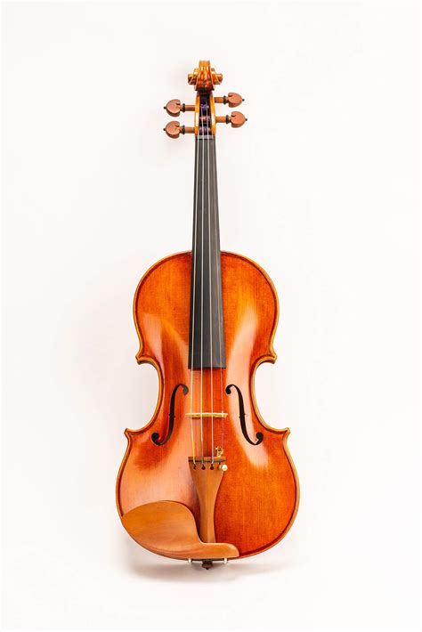 Open Violin Case