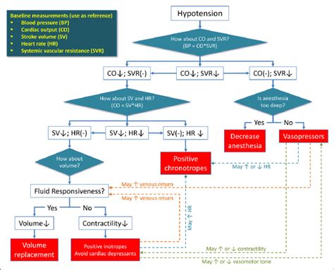 Differential Diagnosis And Treatment Of Hypotension In Perioperative