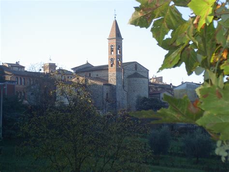 Castelnuovo Berardenga Bando Per Lassegnazione Dei Contributi A