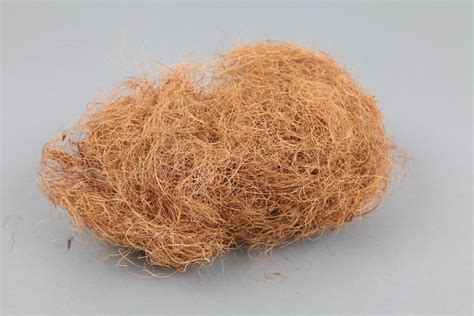 Brown Coir Fibre Cm Packaging Size Kg At Rs Kilogram In