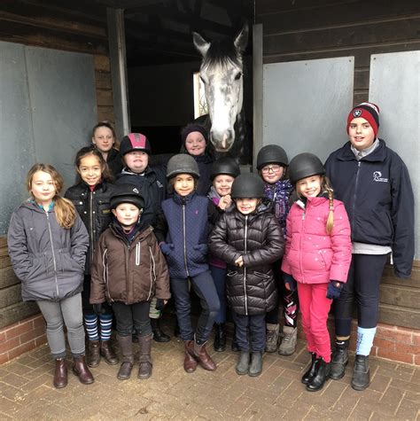 Croft End Equestrian Centre A Bhs Accredited Highly Recommended