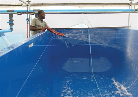 Chlorine An Effective Disinfectant In Aquaculture Responsible Seafood