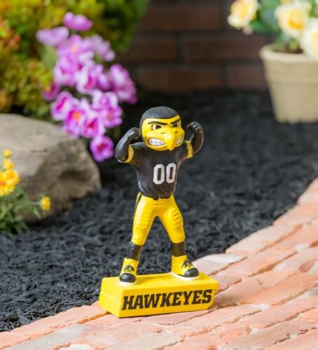 Evergreen University Of Iowa Mascot Statue One Size Fred Meyer