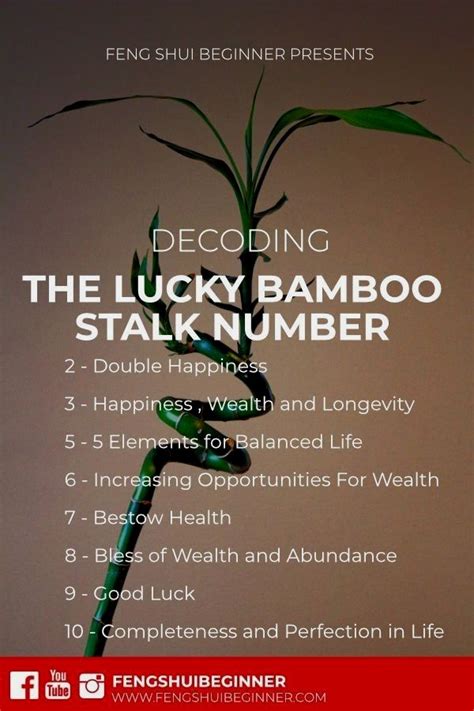 What Does House Number 7 Mean In Feng Shui House Sparrow