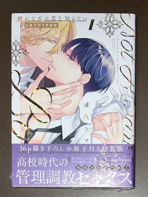 屋敷シマ 憐れなβは恋を知らない1小冊子付き特装版 コミコミ とらのあなリーフレット 出版社ペーパー付きボーイズラブ｜売買された