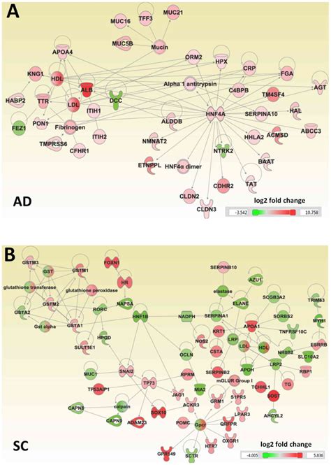 Differences In The Early Stage Gene Expression Profiles Of Lung