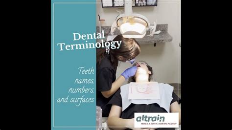 Dental Terminology Dental Assistants Altrain Medical And Dental Assisting Academy Youtube