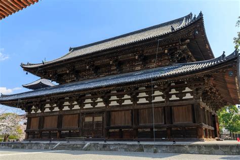 Toji Temple(night view) – Private Tour in Kyoto Wearing Kimono with Tea ...