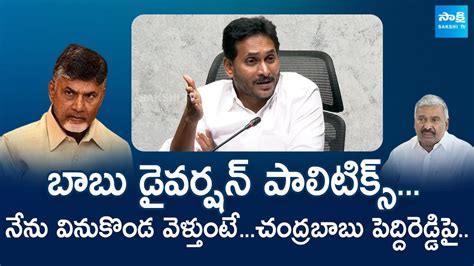 YS Jagan Strong Counter To Chandrababu Cheap Politics Peddireddy