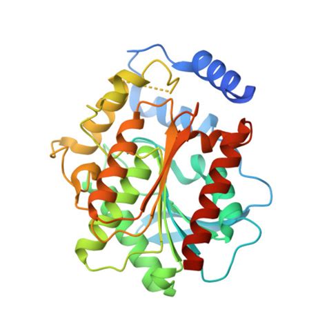 RCSB PDB - 3L1J: Crystal structure of EstE5, was soaked by ZnSO4