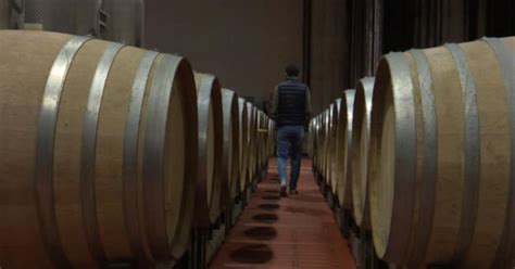 Botti Piene Puglia Seconda Regione Italiana Per Vino Invenduto