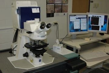 Equipment Zeiss Confocal Microscope LSCF Life Sciences Core Facility