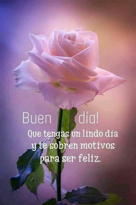 Hermosas Imágenes de Flores con Frases Para Dedicar