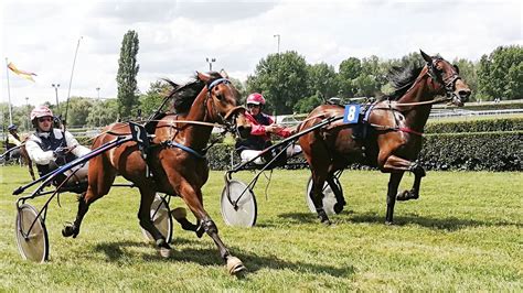 Les chiffres sur les activités liées aux courses en France