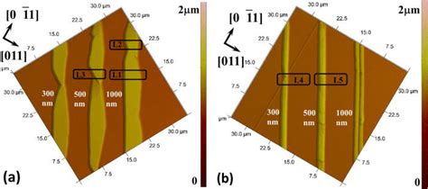 AFM Topography Of ELOG InP From The Parallel Openings Aligned At A