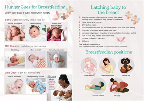 Pregnancy Education Week Expectant Mothers Guide