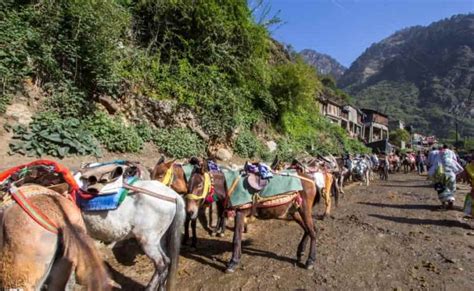 Yamunotri Dham Yatra Compelete Trekking Guide