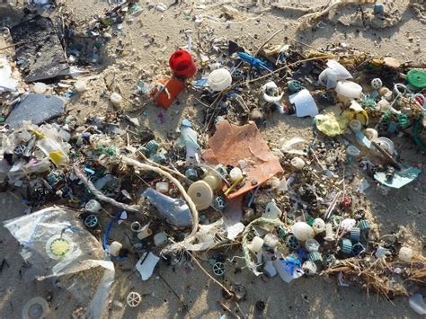 En 2025 Por Cada Tres Toneladas De Peces Nadando En Los Océanos Habrá