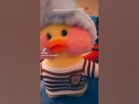 утя лалафафан ️ - YouTube