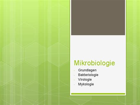 Mikrobiologie Grundlagen Bakteriologie Virologie Mykologie Systematik