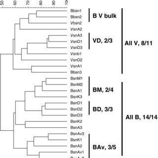 Dendrogram Representing The Similarity Of Pcr Dgge Profiles Generated