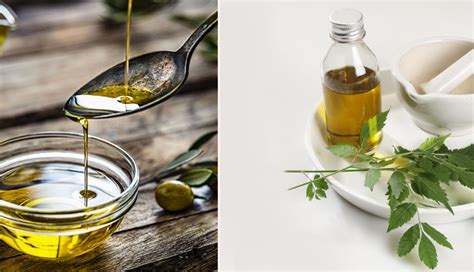 10 Easy Ways To Use Olive Oil To Treat Dandruff