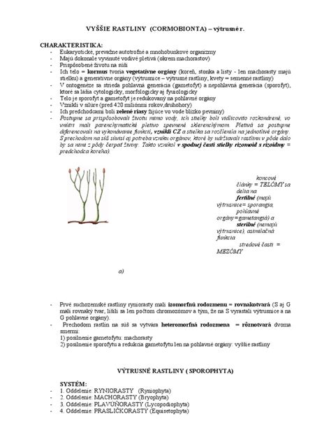 Vyššie Výtrusné Rastliny Pdf