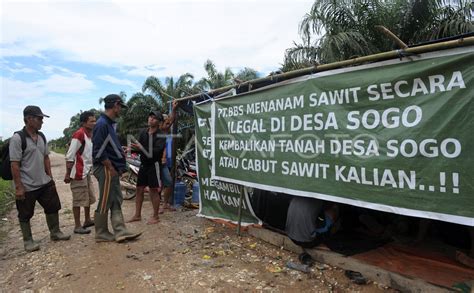 KONFLIK LAHAN DI JAMBI ANTARA Foto