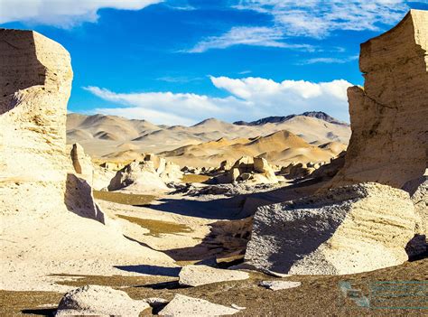 Campo De Piedra Pomez Antofagasta De La Sierra Catamarca Argentina