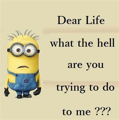 30 Funny Quotes Laughing So Hard Minions Funny Minions Humor Funny