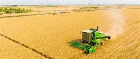 农业农村部答复重点扶持产粮大县保障国家粮食安全有关建议 建设 支持 产粮