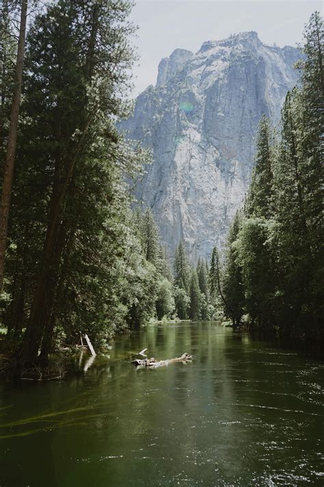 Mujeres+Quitandose+El+Bikini Photos, Download The BEST Free Mujeres