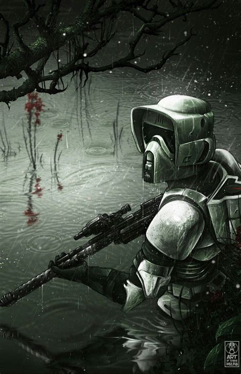 Scout Trooper Star Wars Star Wars Art Star Wars Images