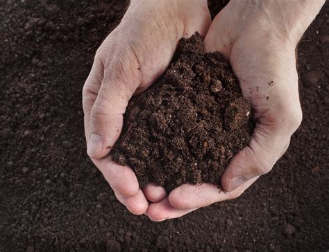 Cdfa Accepting Applications For Healthy Soils Program