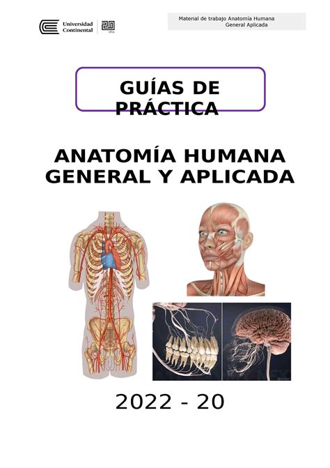 GUÍA DE Práctica Semana 1 GUÍAS DE PRÁCTICA ANATOMÍA HUMANA GENERAL Y