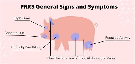 Module Swine Biosecurity