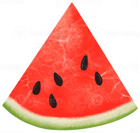 Watermelon Drawing Isolated 22353949 Png