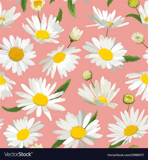 Floral Seamless Pattern With Chamomile Flowers Vector Image