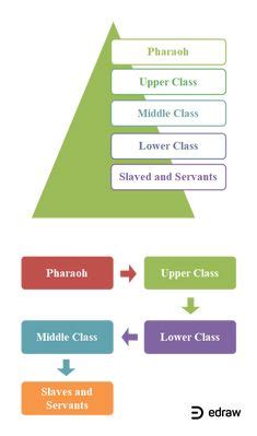 Taxonomy Chart Templates Edrawmax Editable