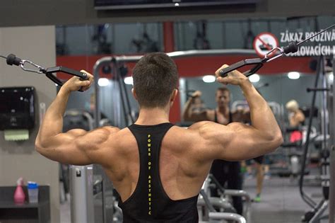 5 Back Workouts For Mass Musclemesmerizer