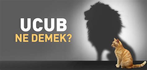 Ucup Ne Demek Ucup Ne Anlama Gelir İslam ve İhsan