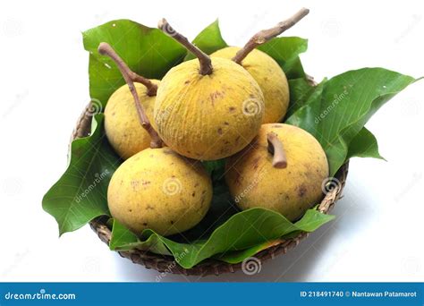 Santol Or Sandoricum Koetjape Fruits Isolated On White Surface With