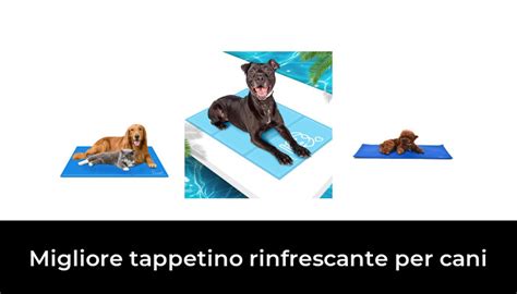 Migliore Tappetino Rinfrescante Per Cani Nel Secondo Gli Esperti