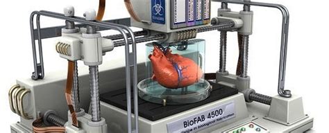 3D printing organs Archives - 3D Printing Blog: Tutorials, News, Trends ...