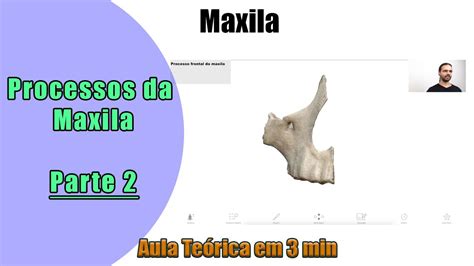 Maxila e seus Processos Aula 2 Teórica Anatomia Anatomia Humana